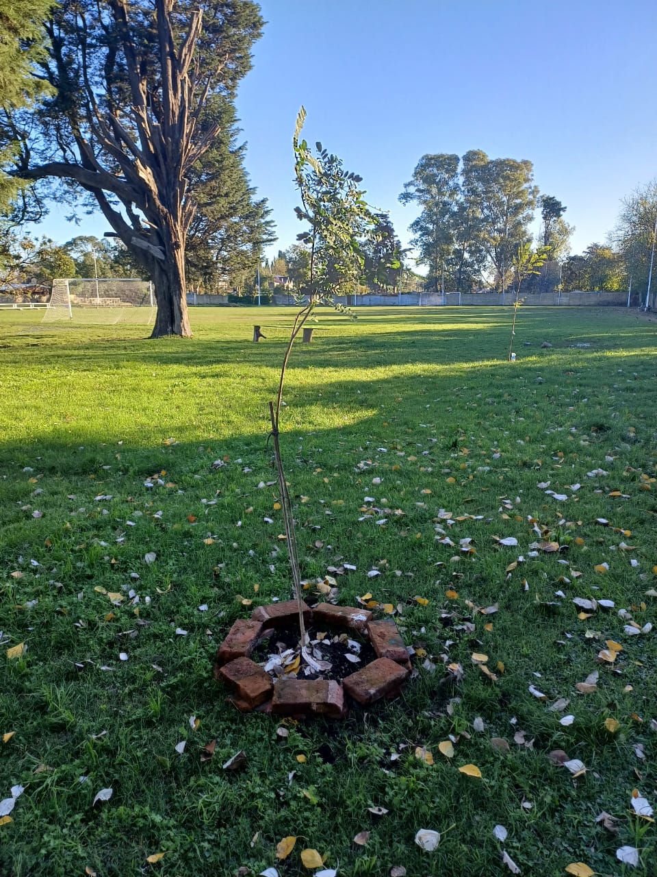 Importantes mejoras en el Polski Ośrodek Młodzieżowy (POM)